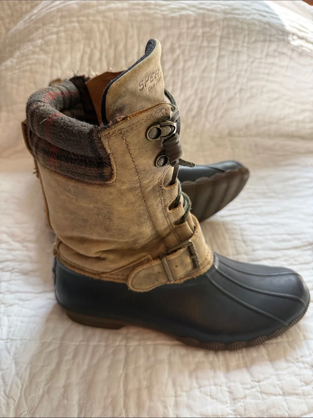 Sperry classic duck